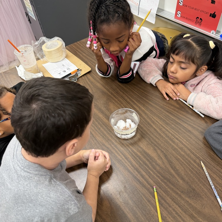 students observing their experiment 