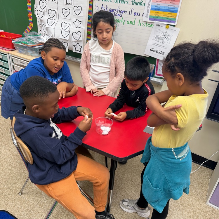 students participating in their experiment