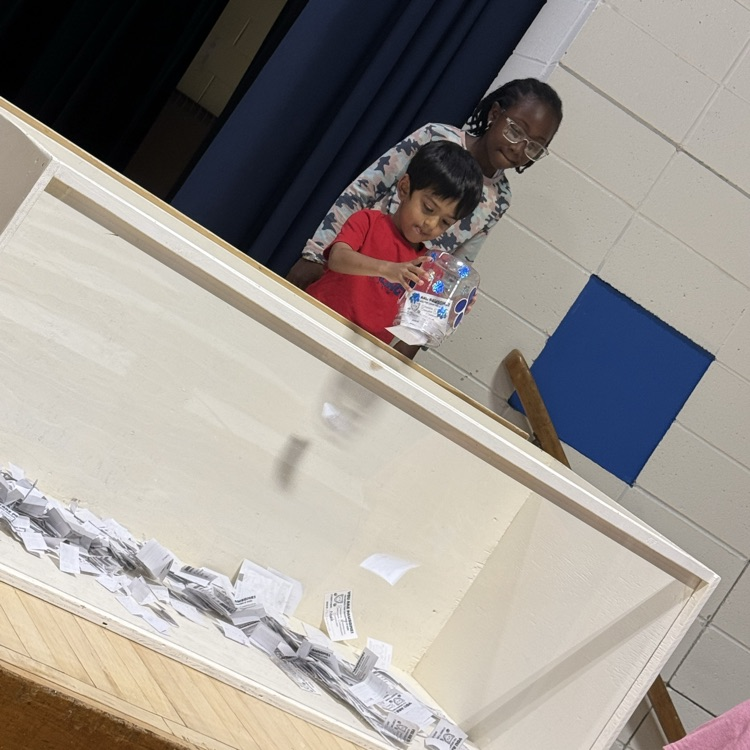 Students adding tickets to big box