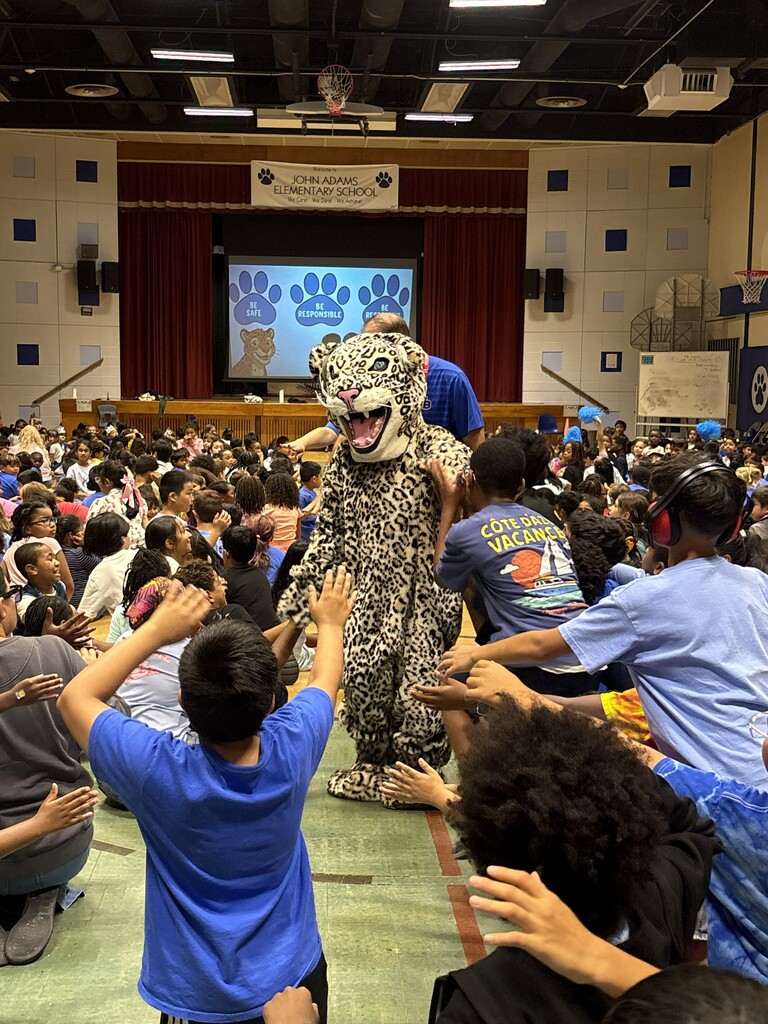 Students giving a jaguar mascot high fives