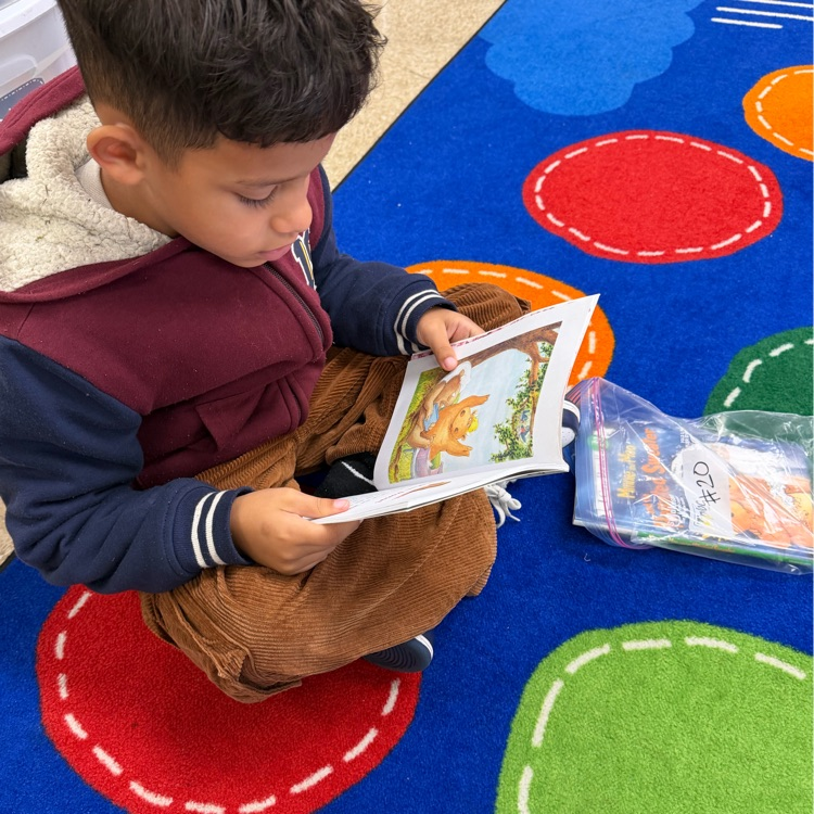student independently reading 