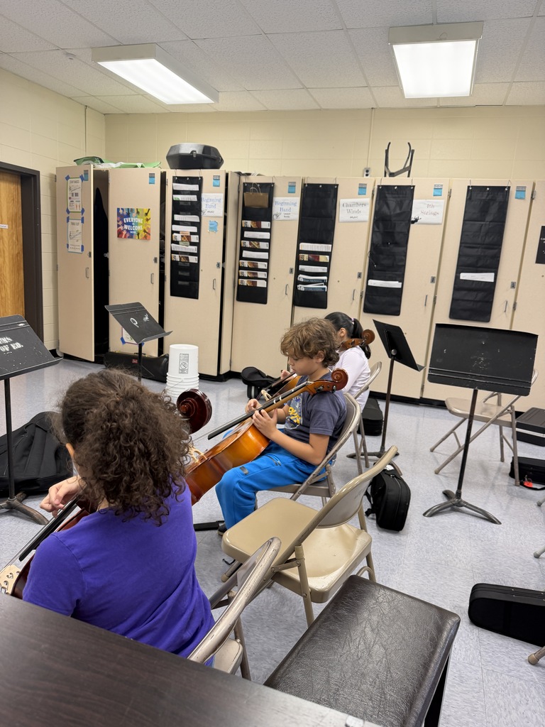 Learning about the strings on the cello