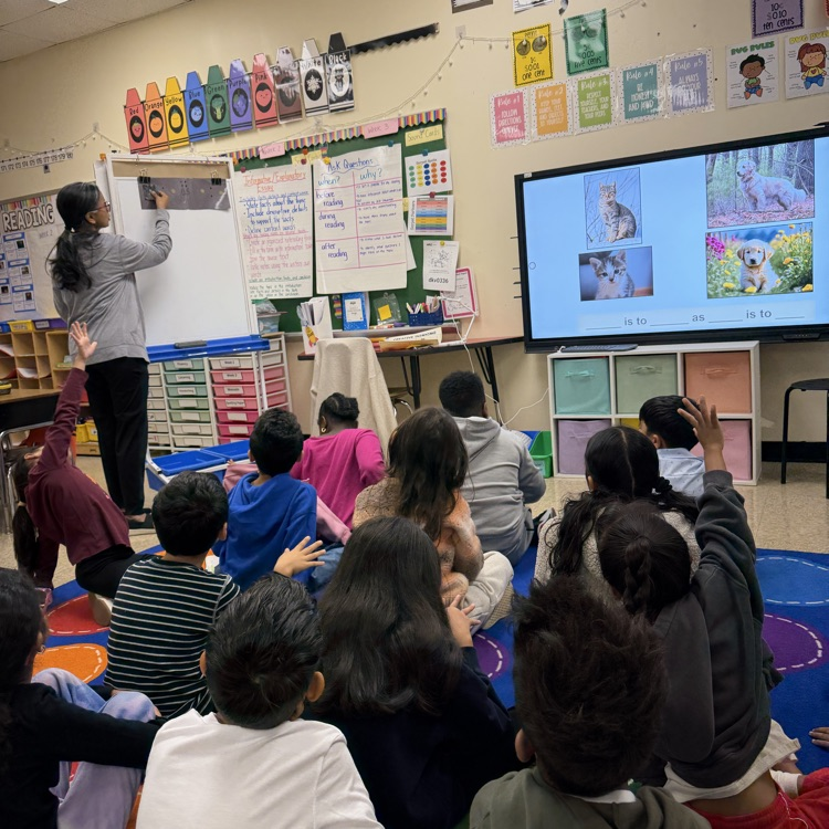 students learning on carpet 