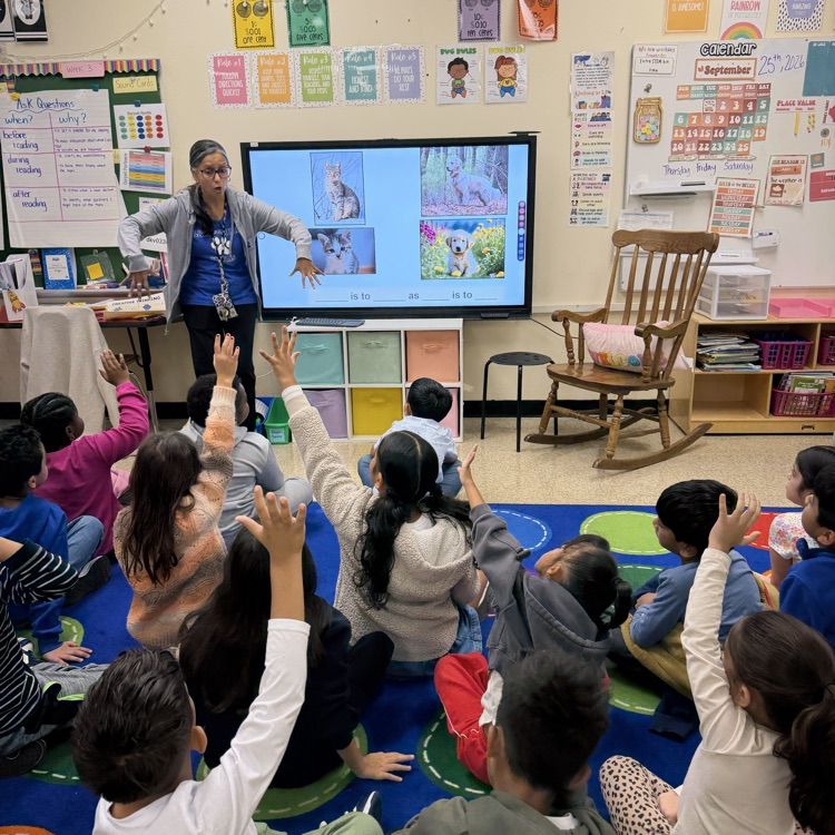 students learning on carpet 