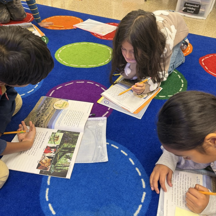 students working together