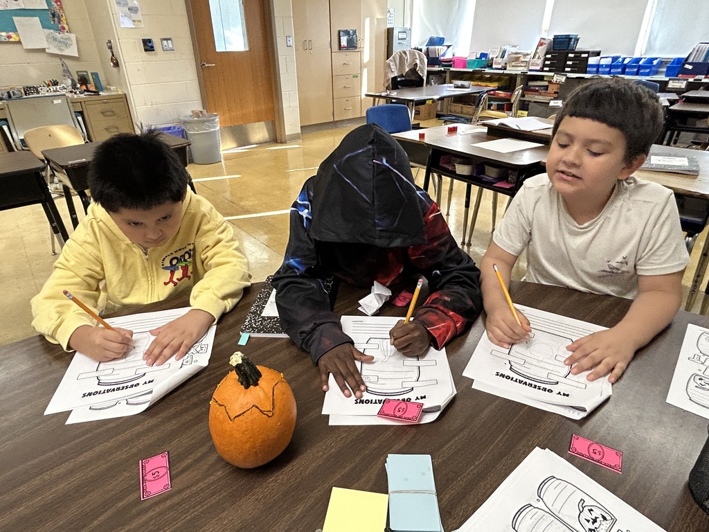 3 students observe and draw a pumpkin
