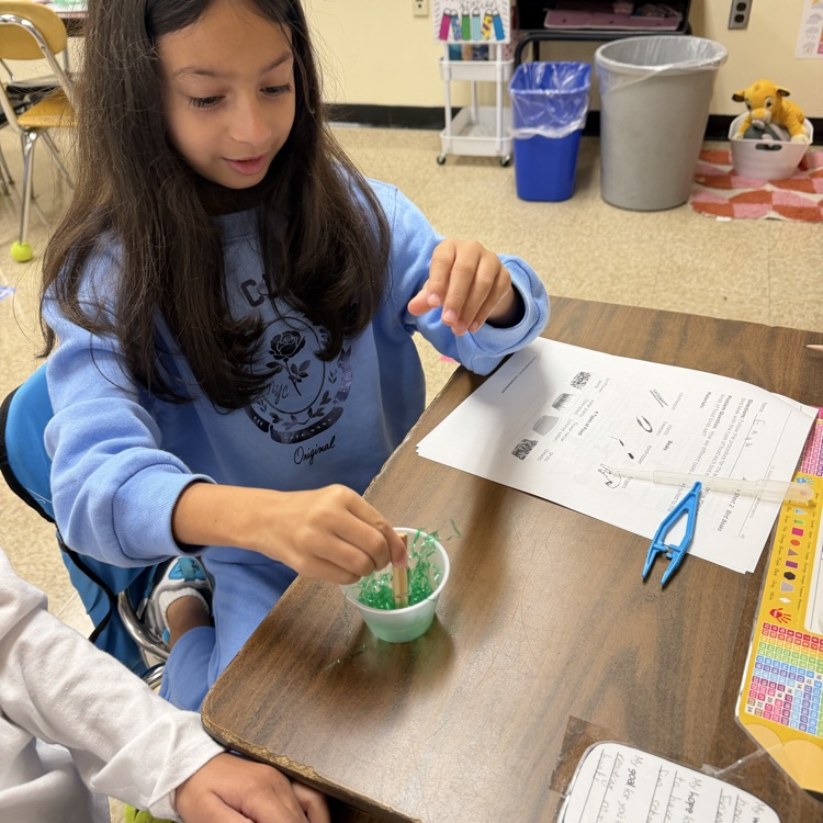 student participating in a science activity 