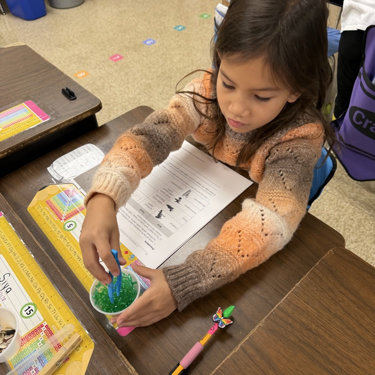student participating in a science activity 