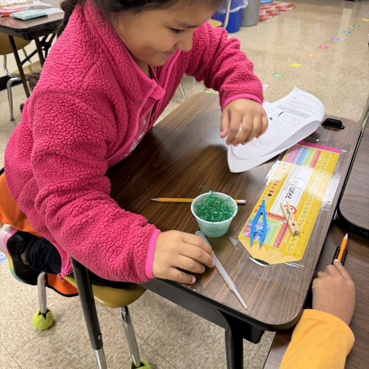 student participating in a science activity 