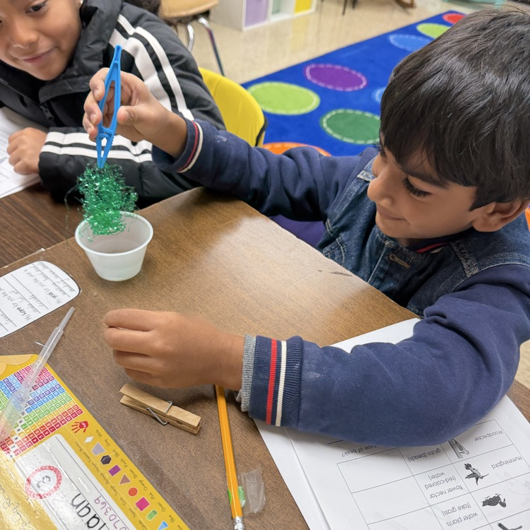 student participating in a science activity 