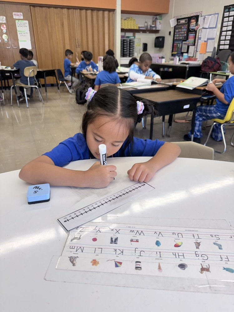 Students working on number lines