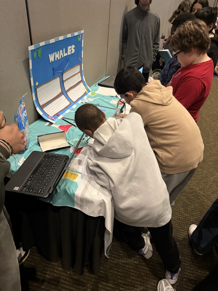 Students working together at table in front of whale poster