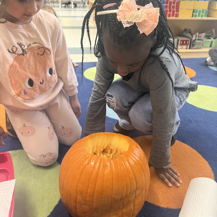 Students looking in a pumpkin