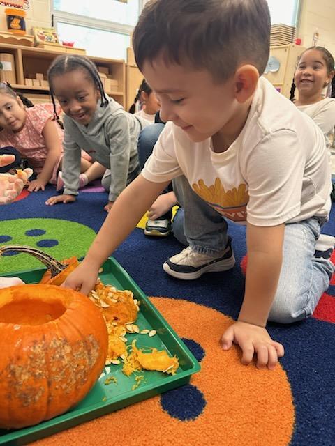 Students touching seeds from a pumpkin