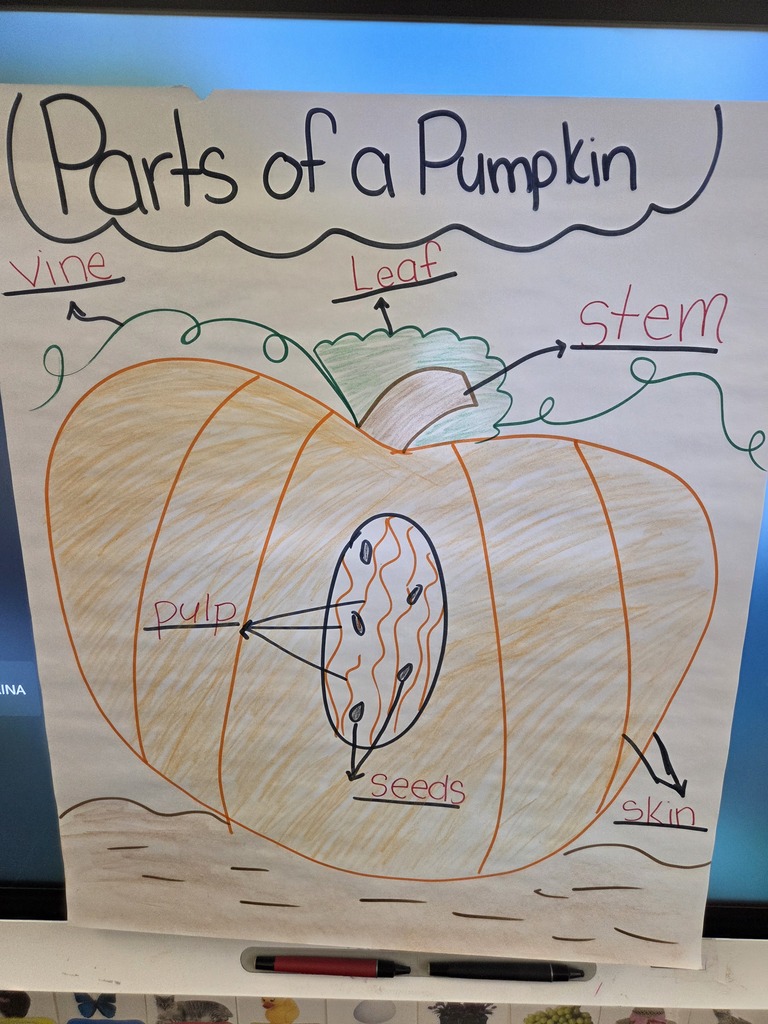 Diagram of a Pumpkin 