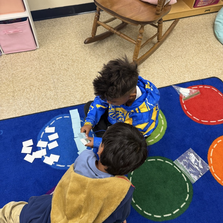 students playing an animal adaptation matching game 
