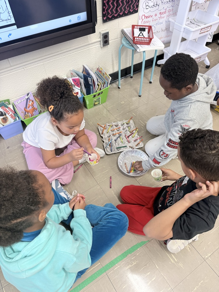Students counting items into egg crates