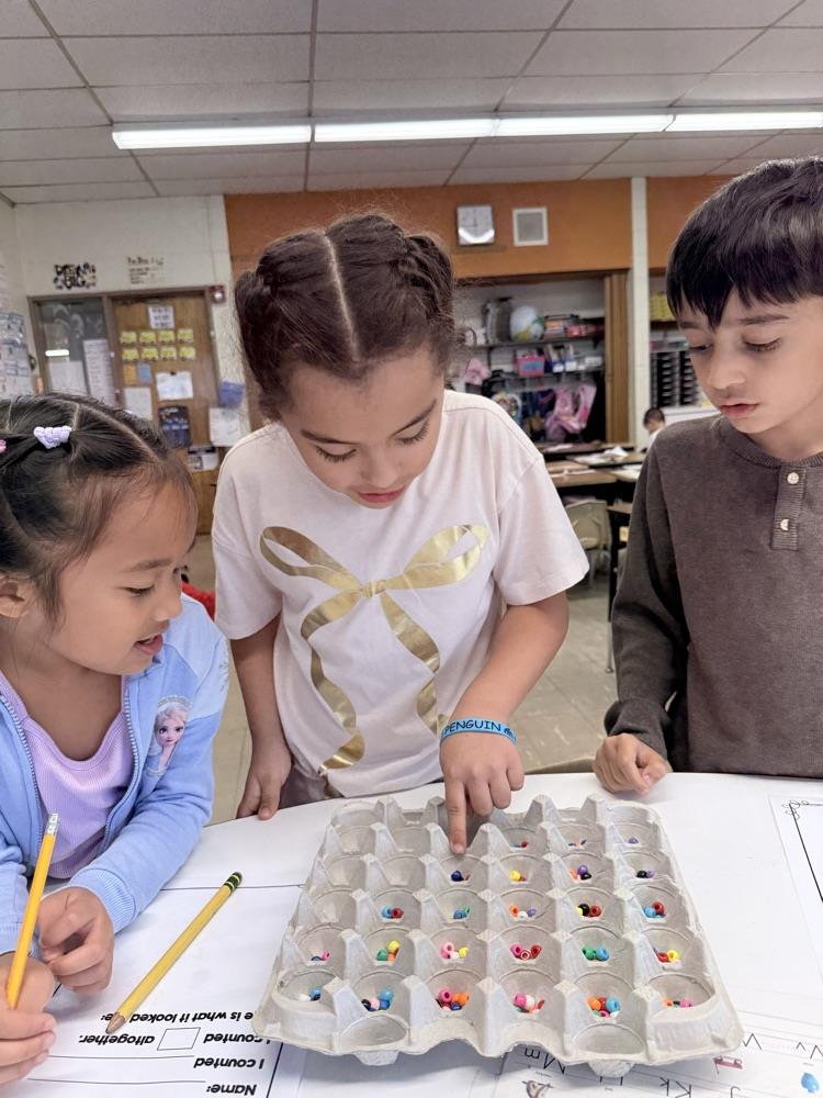 Students counting items into egg crates
