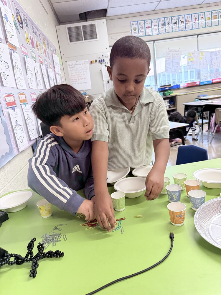 Students counting items into cups