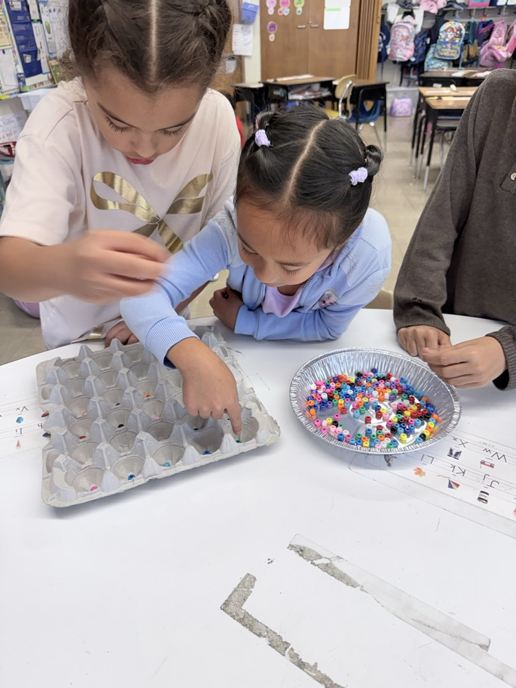 Students counting items into egg crates