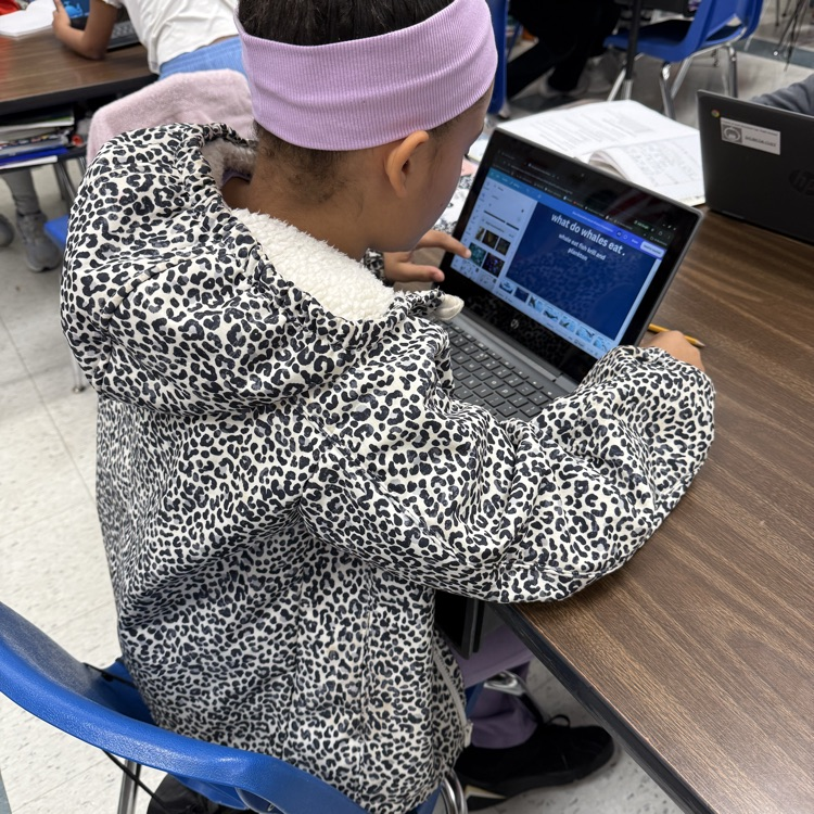 Student working on computer in classroom