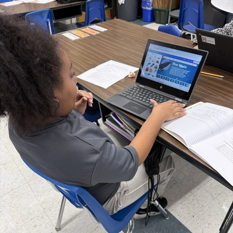 Students working on computer