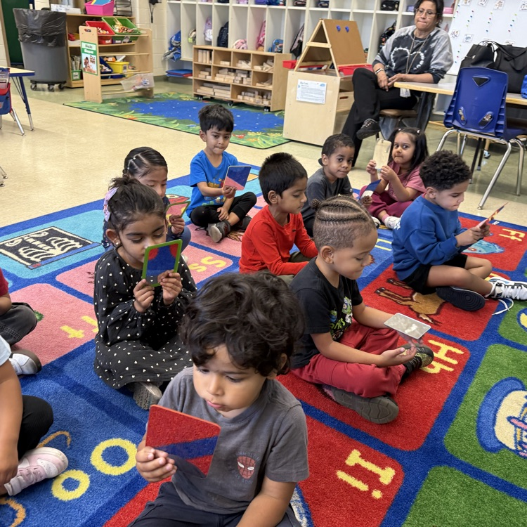 Students looking mirrors on a classroom carpet