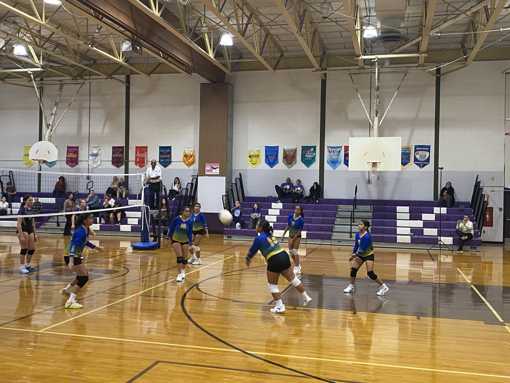 Girls volleyball game