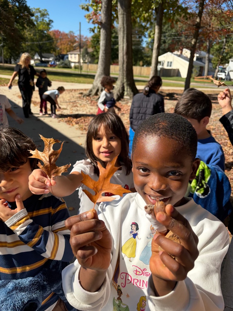 students collecting leaves and acorns