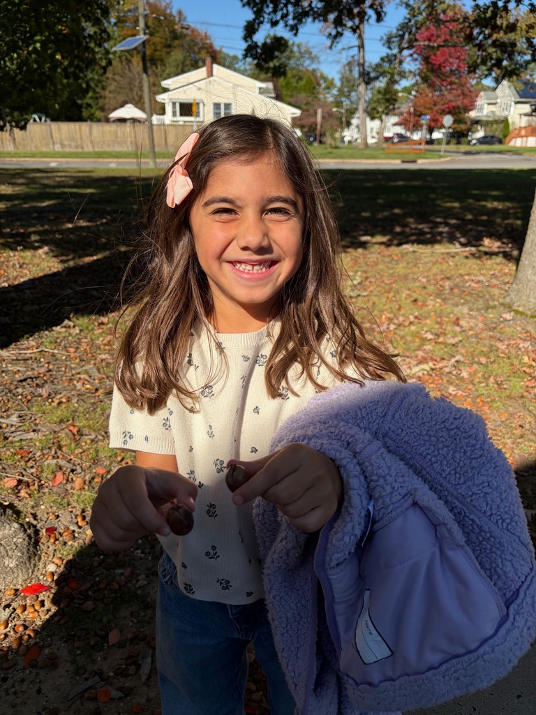 students collecting leaves and acorns