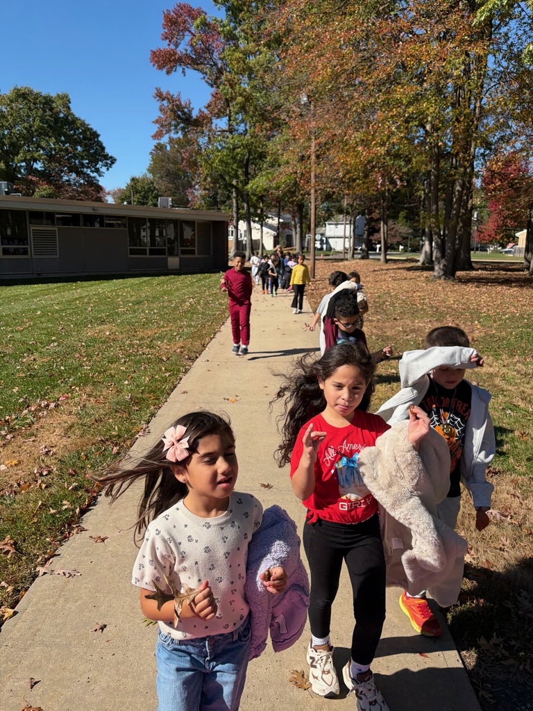 students collecting leaves and acorns