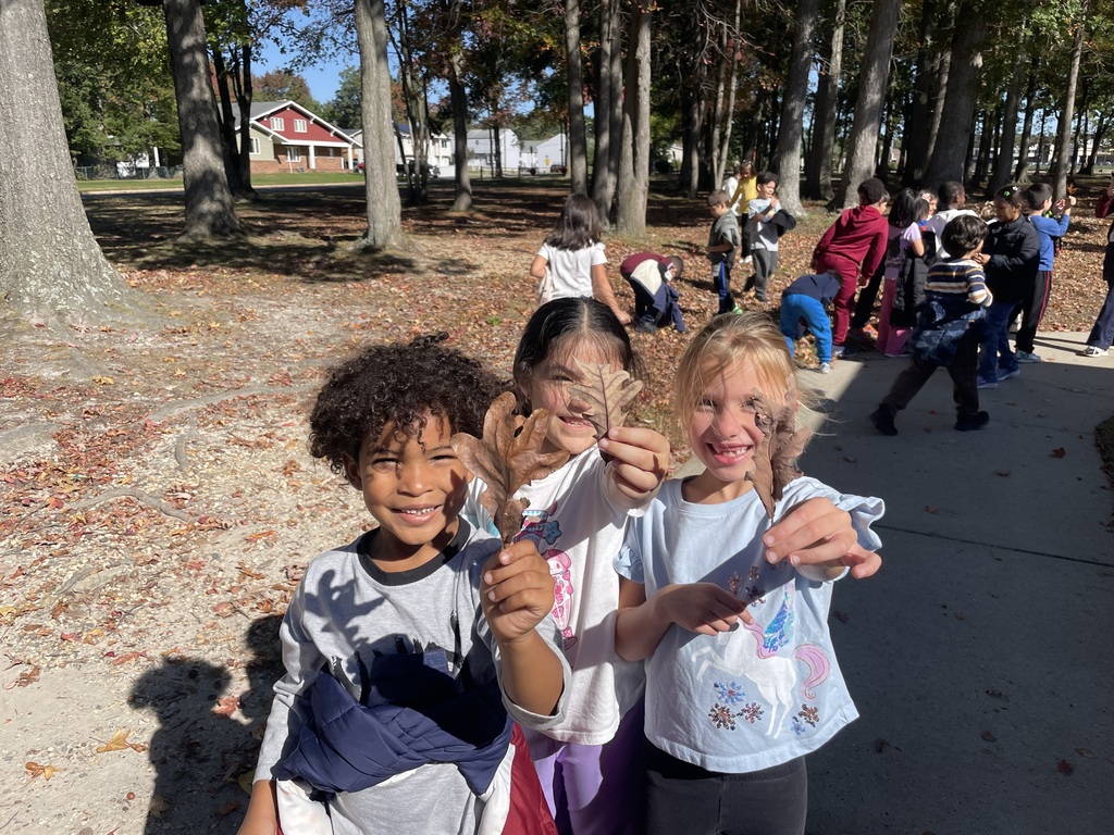 students collecting leaves and acorns