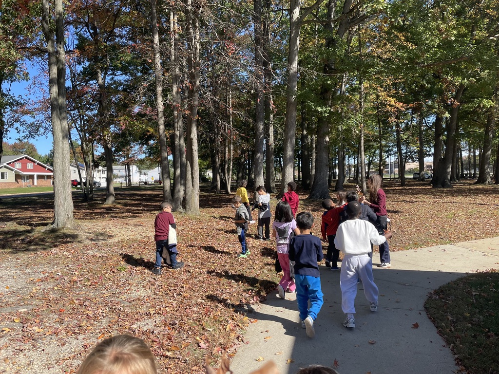 students collecting leaves and acorns