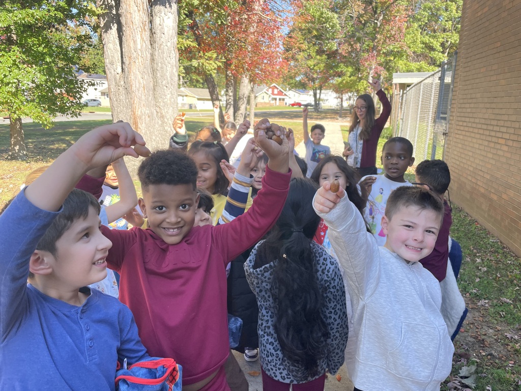 students collecting leaves and acorns