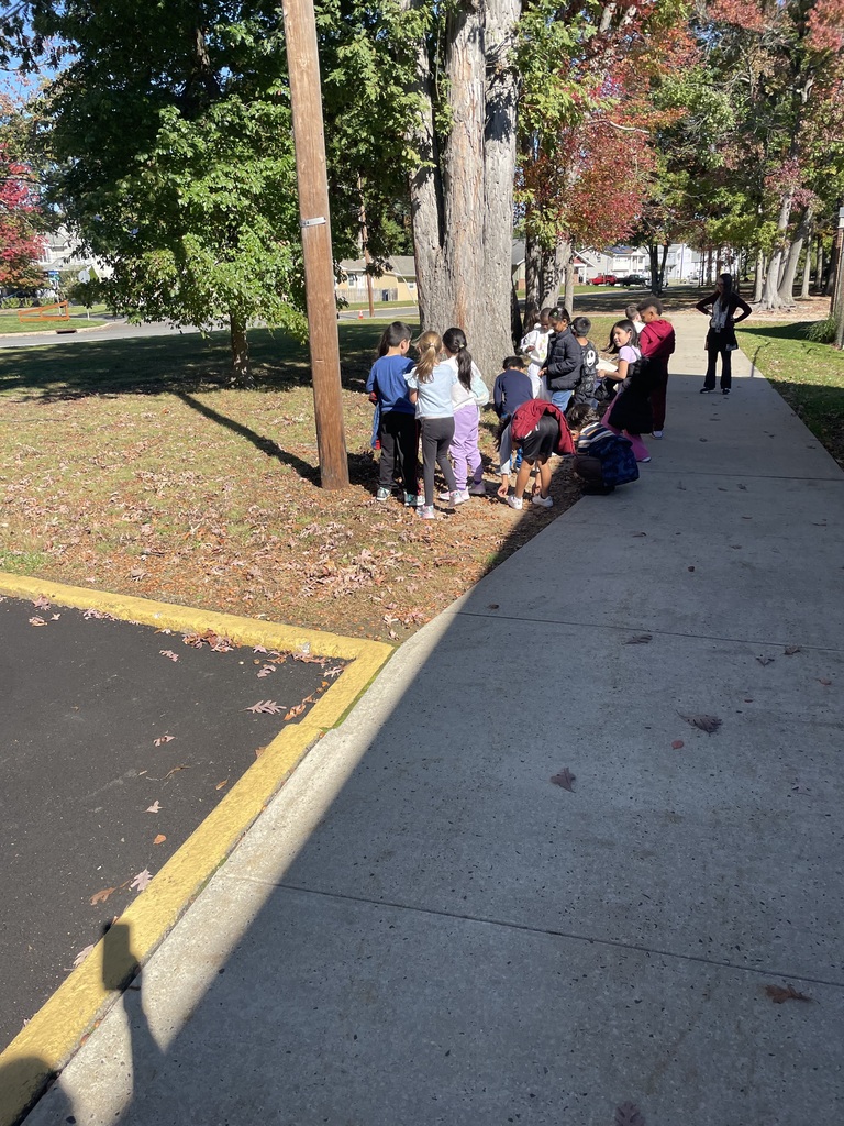 students collecting leaves and acorns