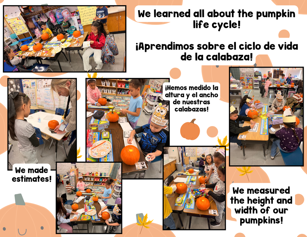 Students measuring their pumpkins