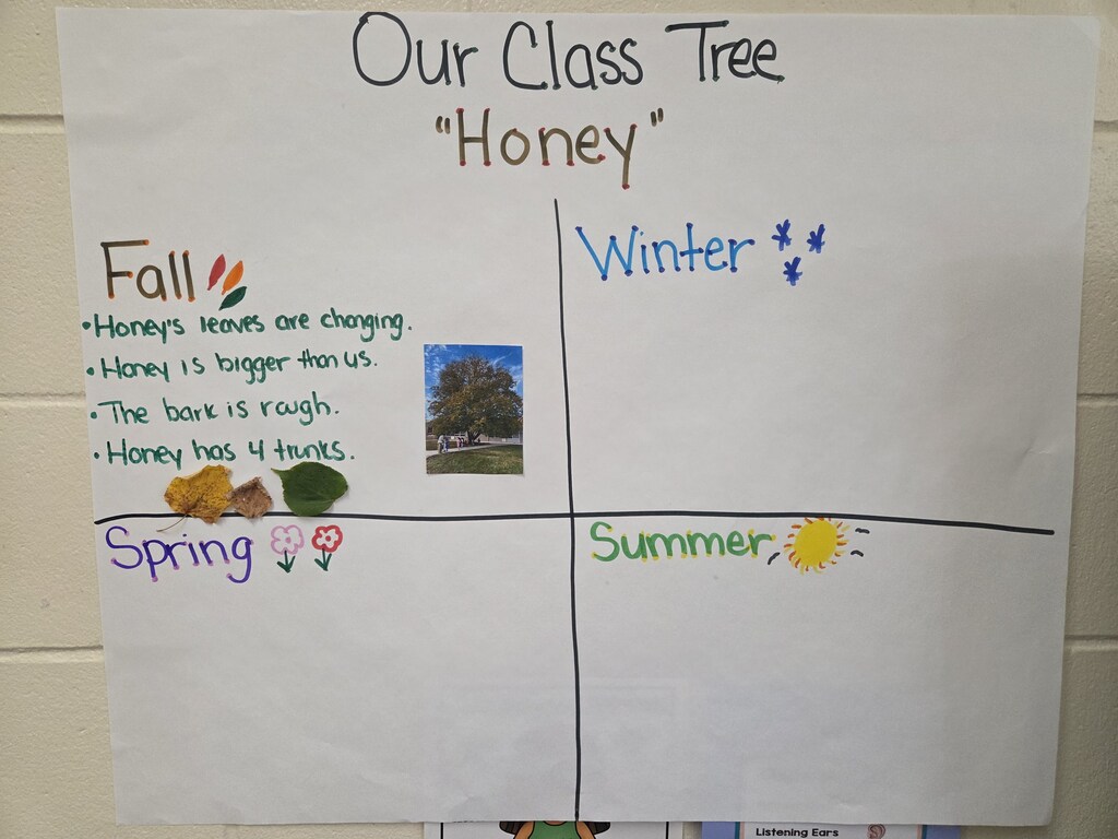 chart about seasons and trees