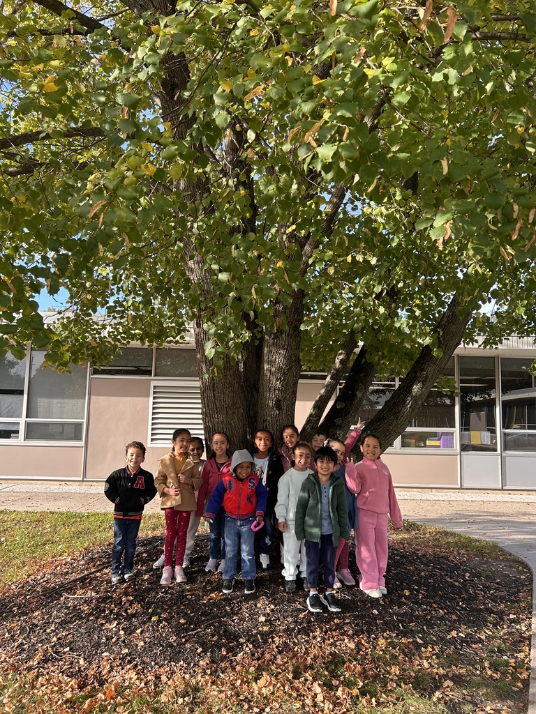students posed in front of tree