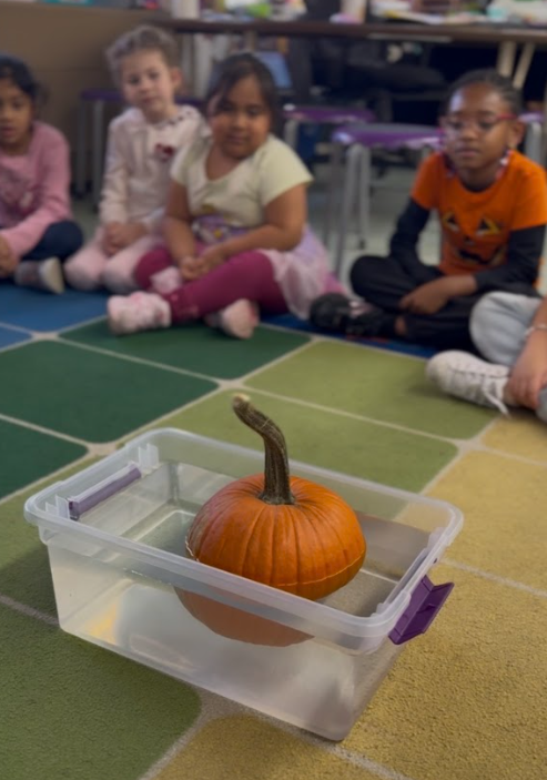 Pumpkin in a container of water