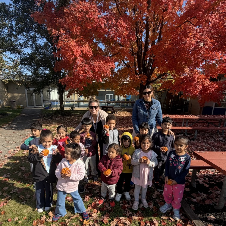 students posing with pumpkins in front of tree