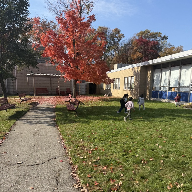 students picking small pumpkins