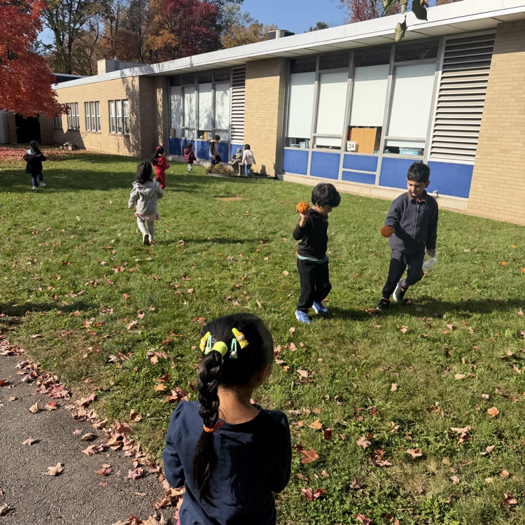 students picking small pumpkins