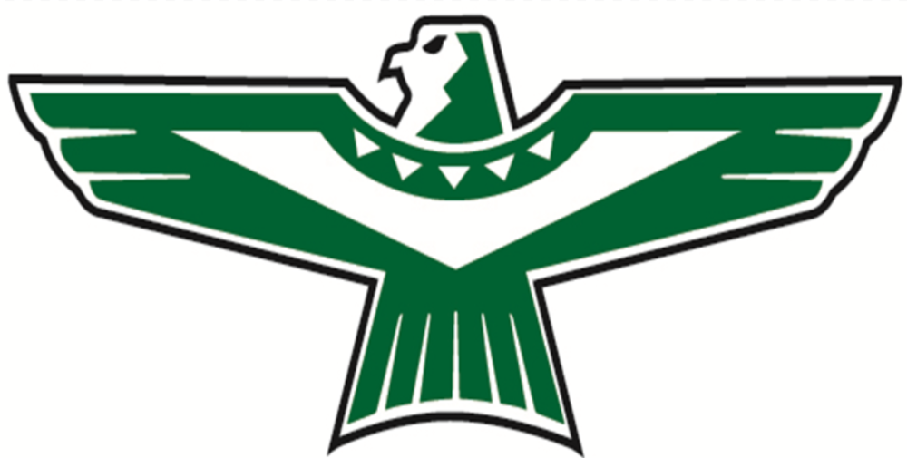 TBird Logo