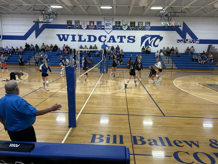 volleyball 