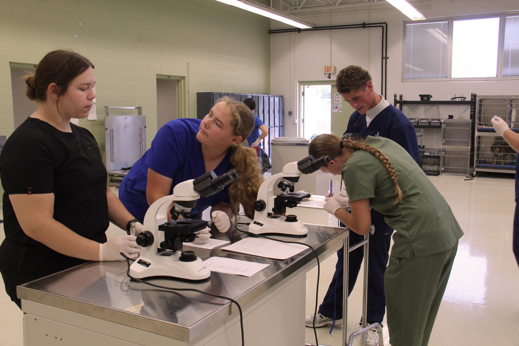 4 students collecting, running, and reading diagnostic samples in Vet Science Class.