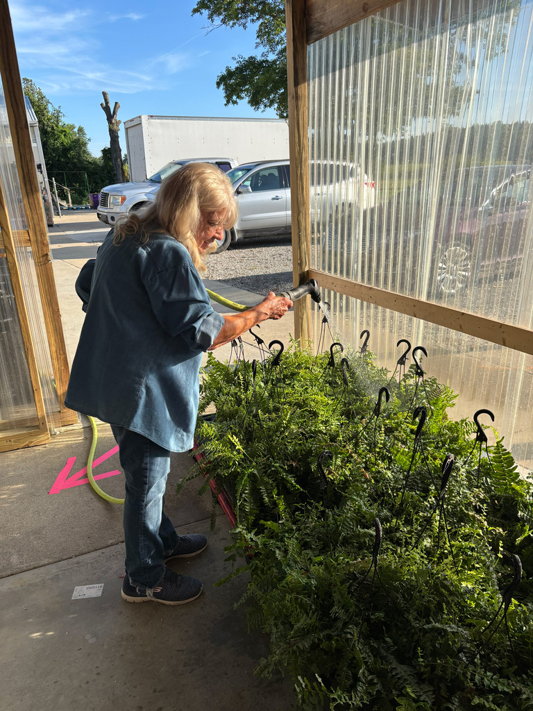 One adult helping water the plants outdoors. 