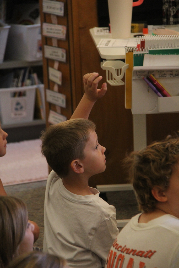 Student raising his hand to ask the teacher a question. 