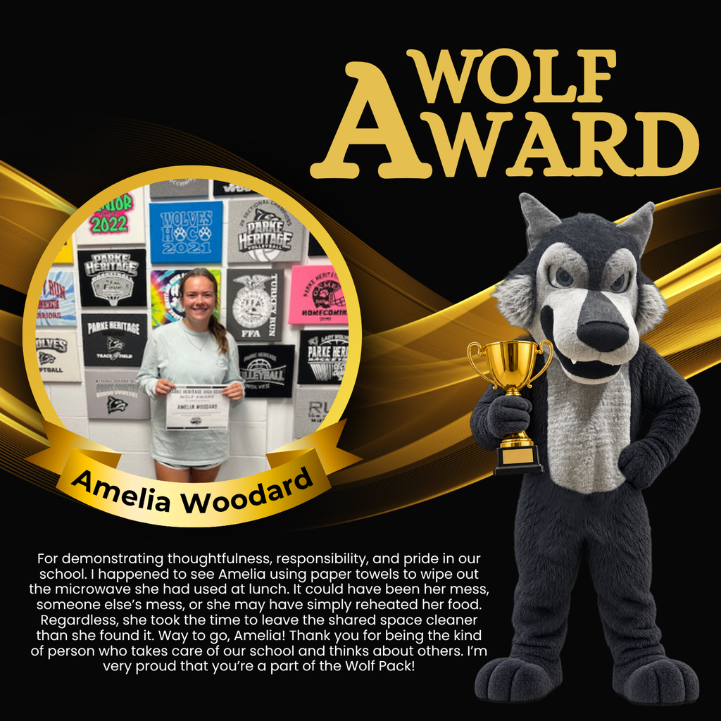 Graphic featuring a “Wolf Award” heading in large gold lettering on a black background with gold wave accents. A photo of Amelia Woodard holding a Wolf Award certificate appears inside a gold circular frame. A wolf mascot holding a gold trophy stands on the right. Text recognizes Amelia for thoughtfully cleaning the microwave after lunch, demonstrating responsibility, consideration for others, and pride in the school.
