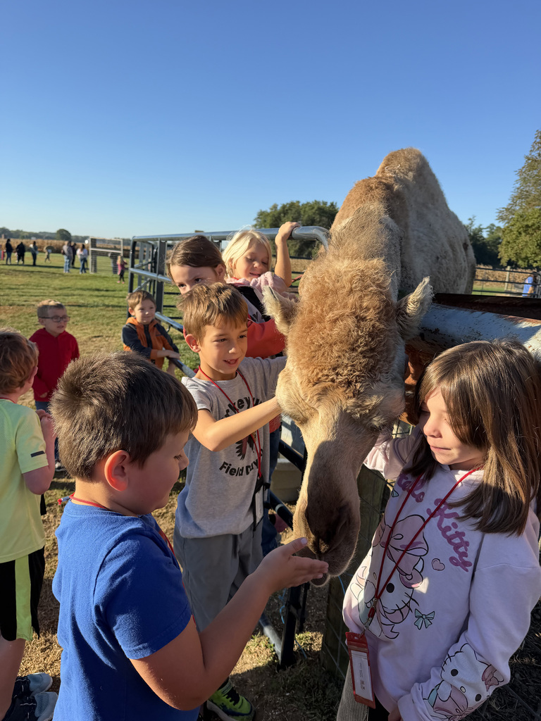 Students stand around the camel as it leans down to them so they can pet it. 
