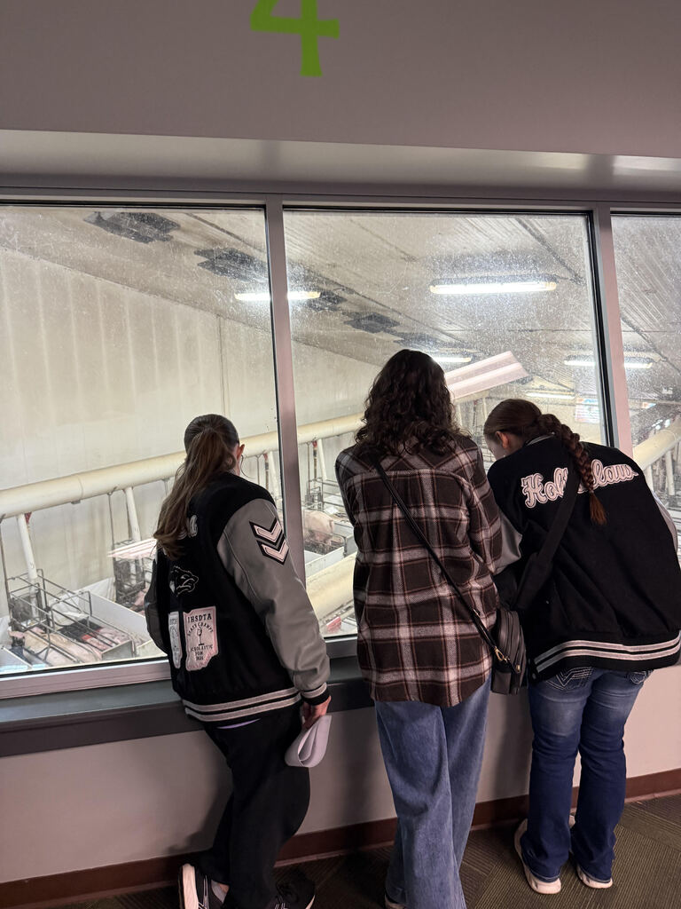 3 students looking out a window down to the hog barn to see what is going on in there. 